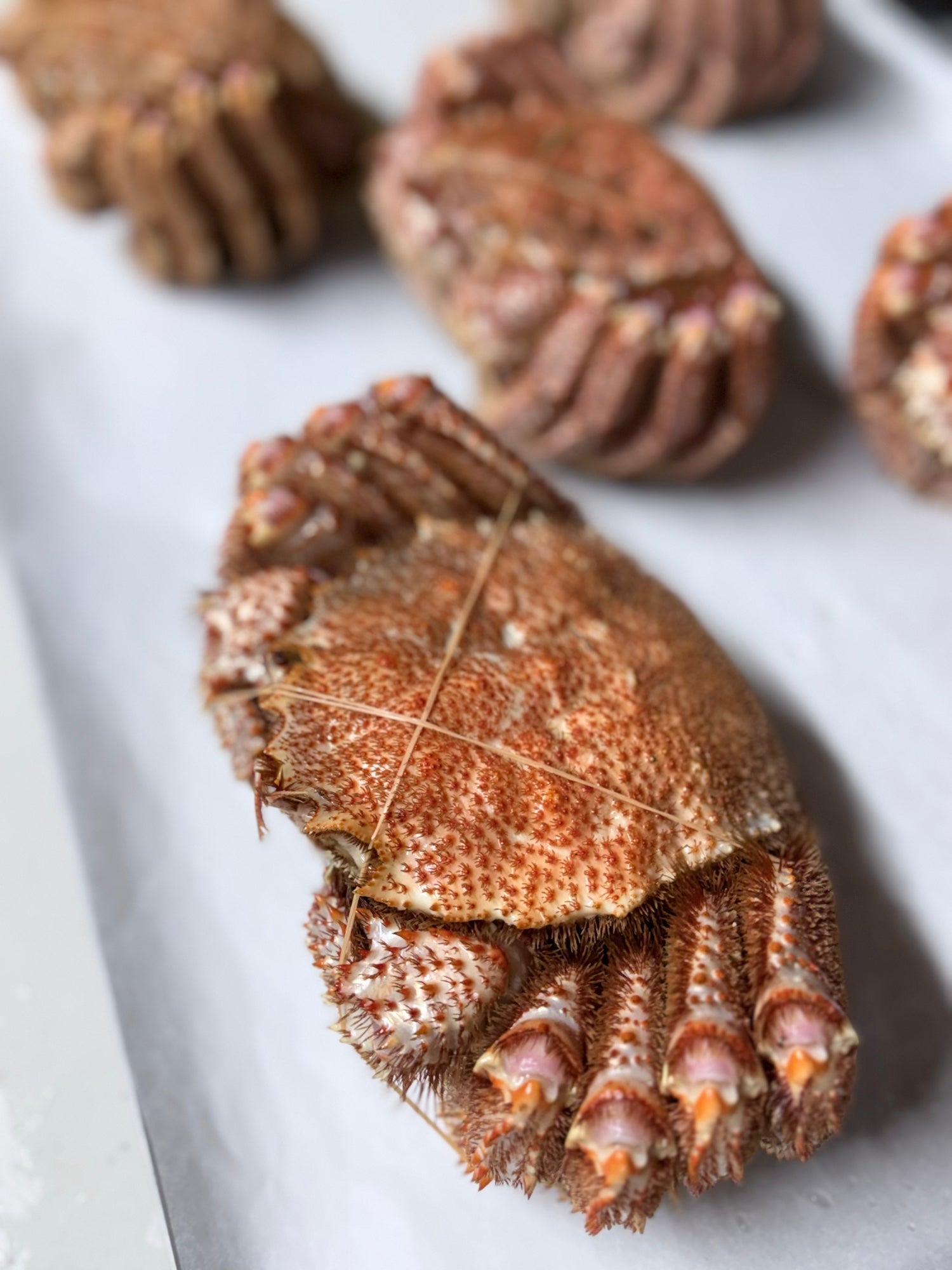 オホーツク常呂産 しばれ毛蟹