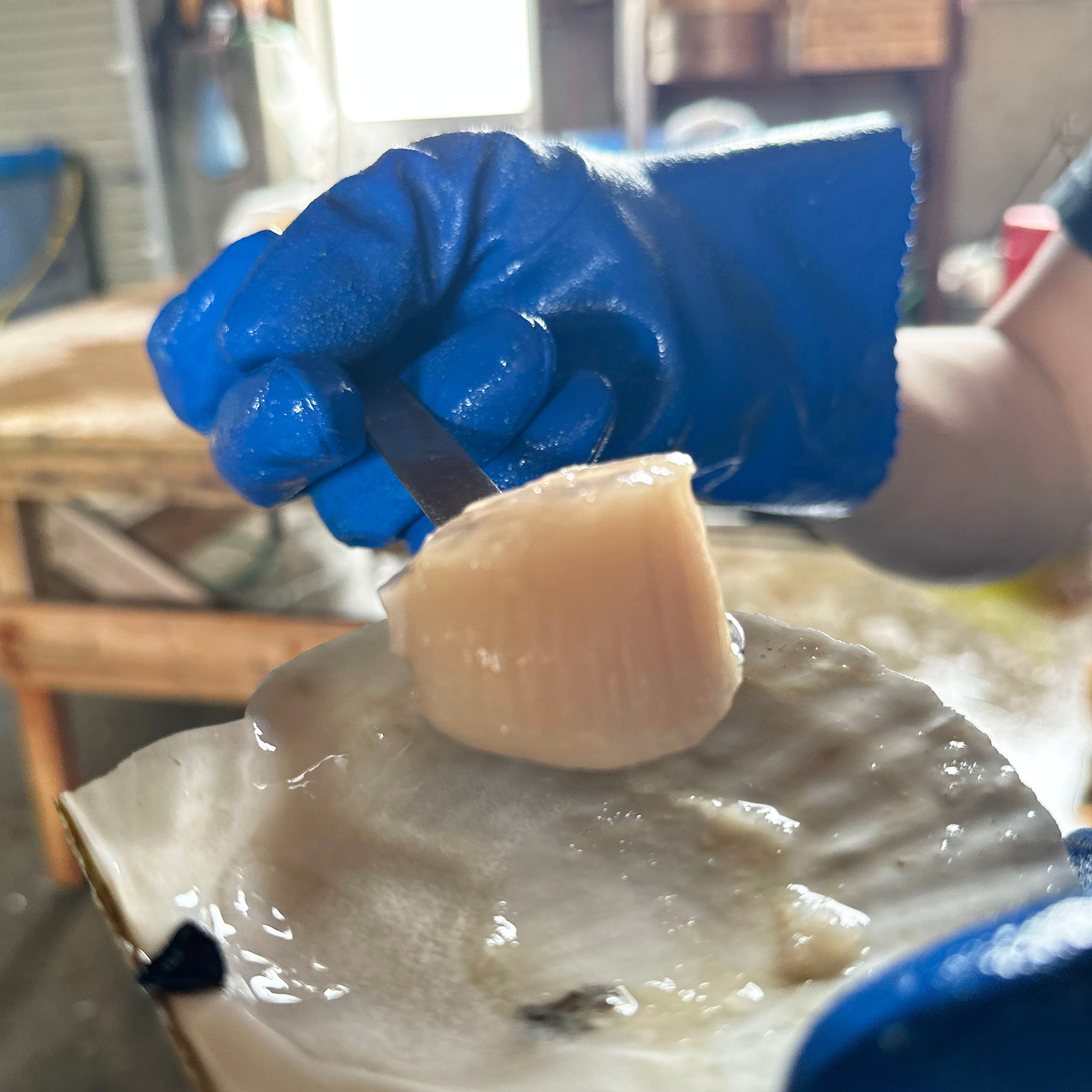 予約注文のみ受付中【幻】北海道漁師直送 殻付き極上3Lビッグホタテ-「白峰」