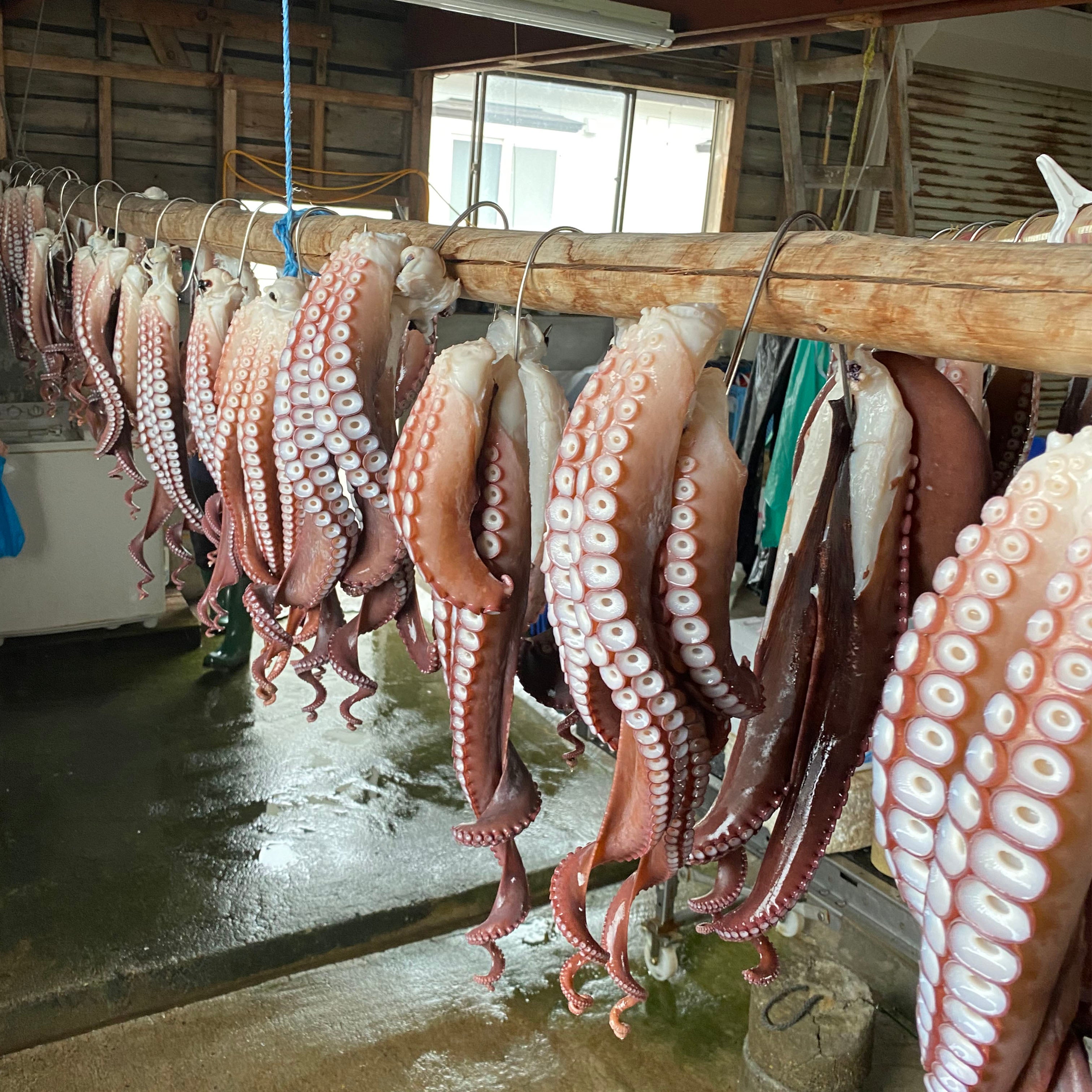【ハーフサイズ】北海道漁師直送 朝採り朝茹でお刺身タコ【冷凍】