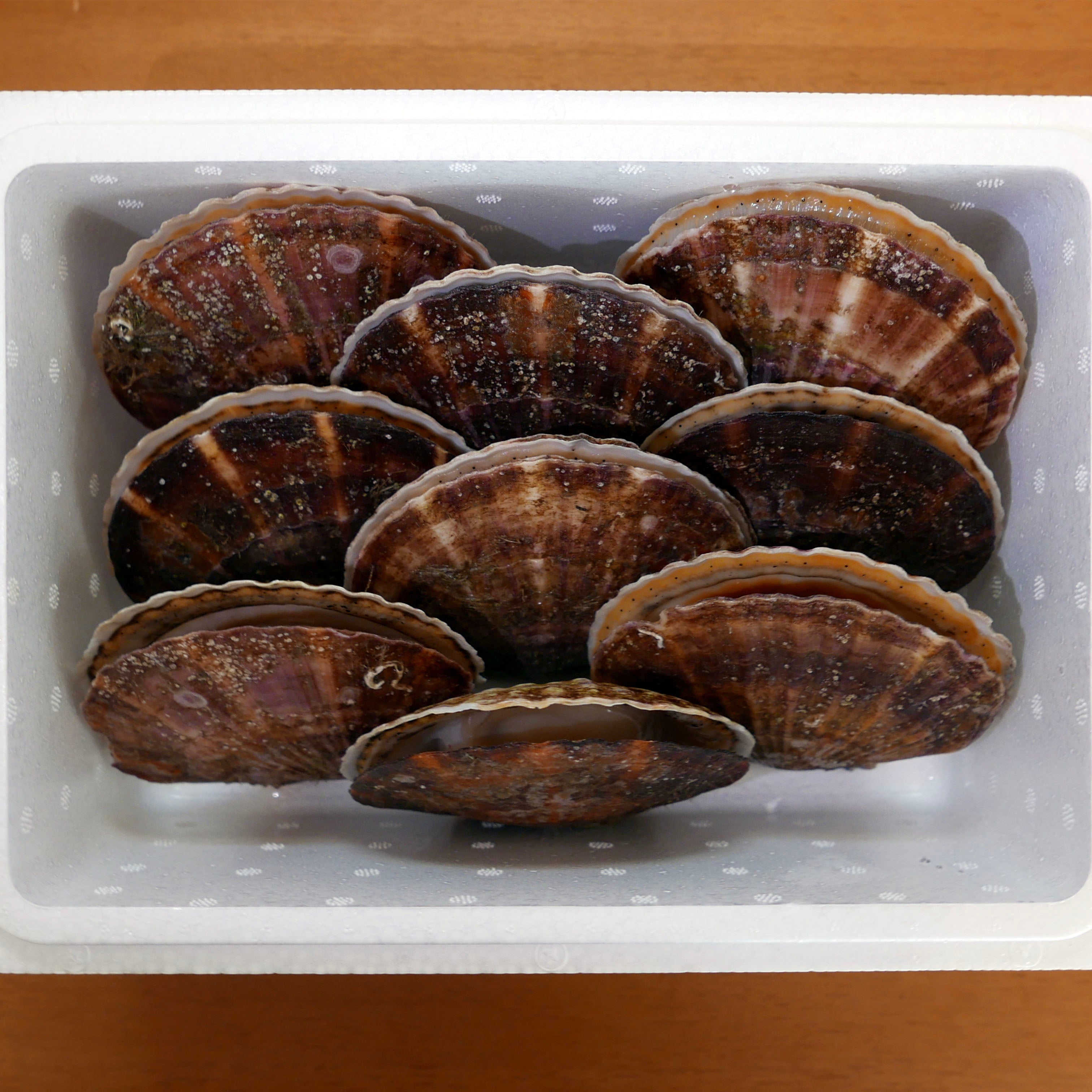 北海道漁師直送 殻付き極上プレミアムホタテ