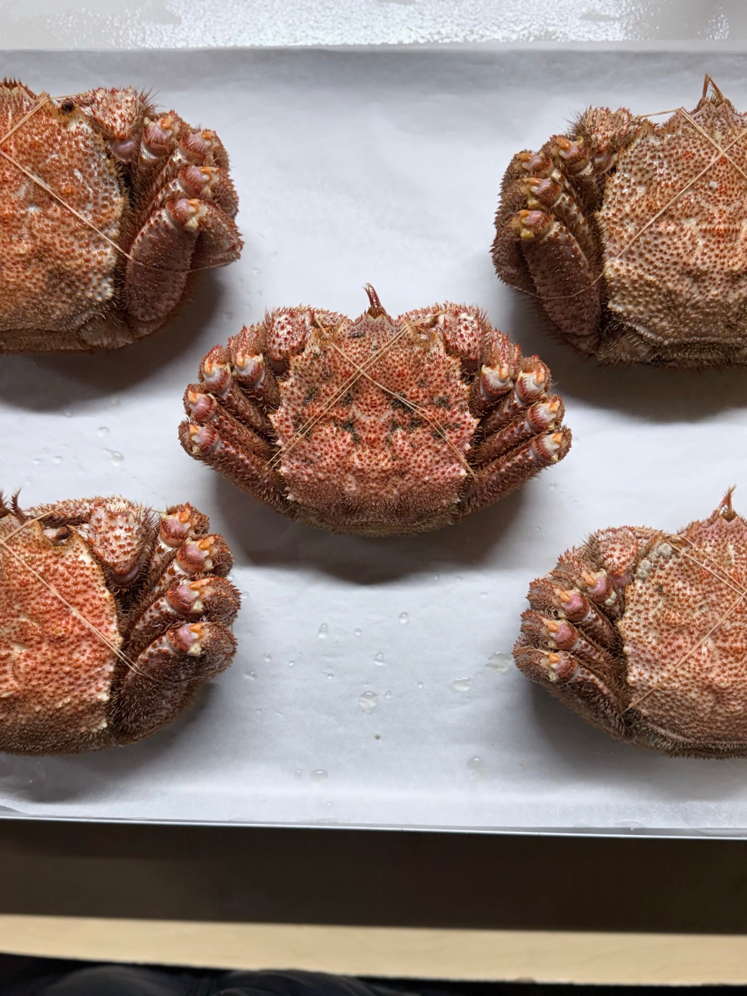 オホーツク常呂産 しばれ毛蟹