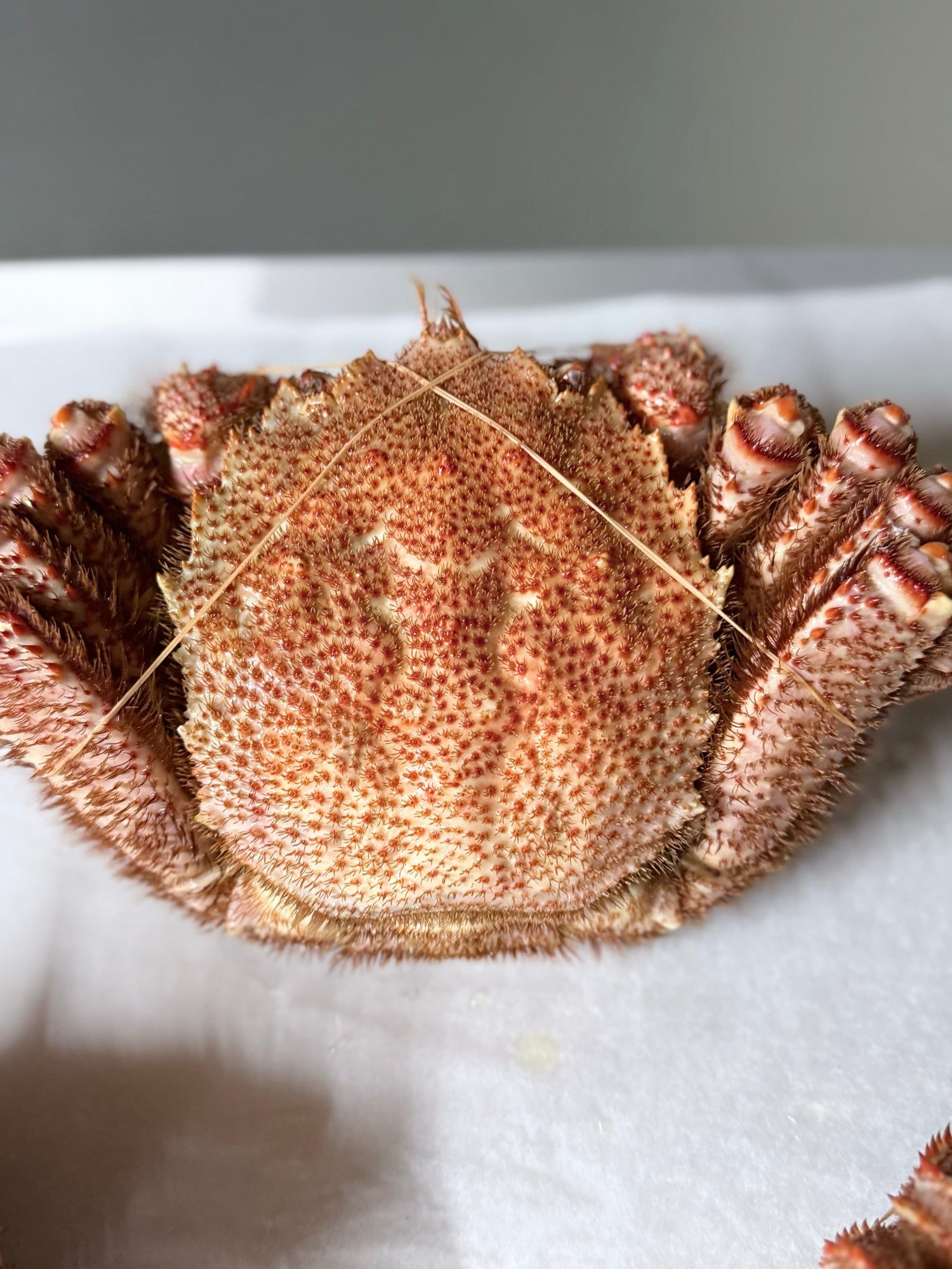 オホーツク常呂産 しばれ毛蟹