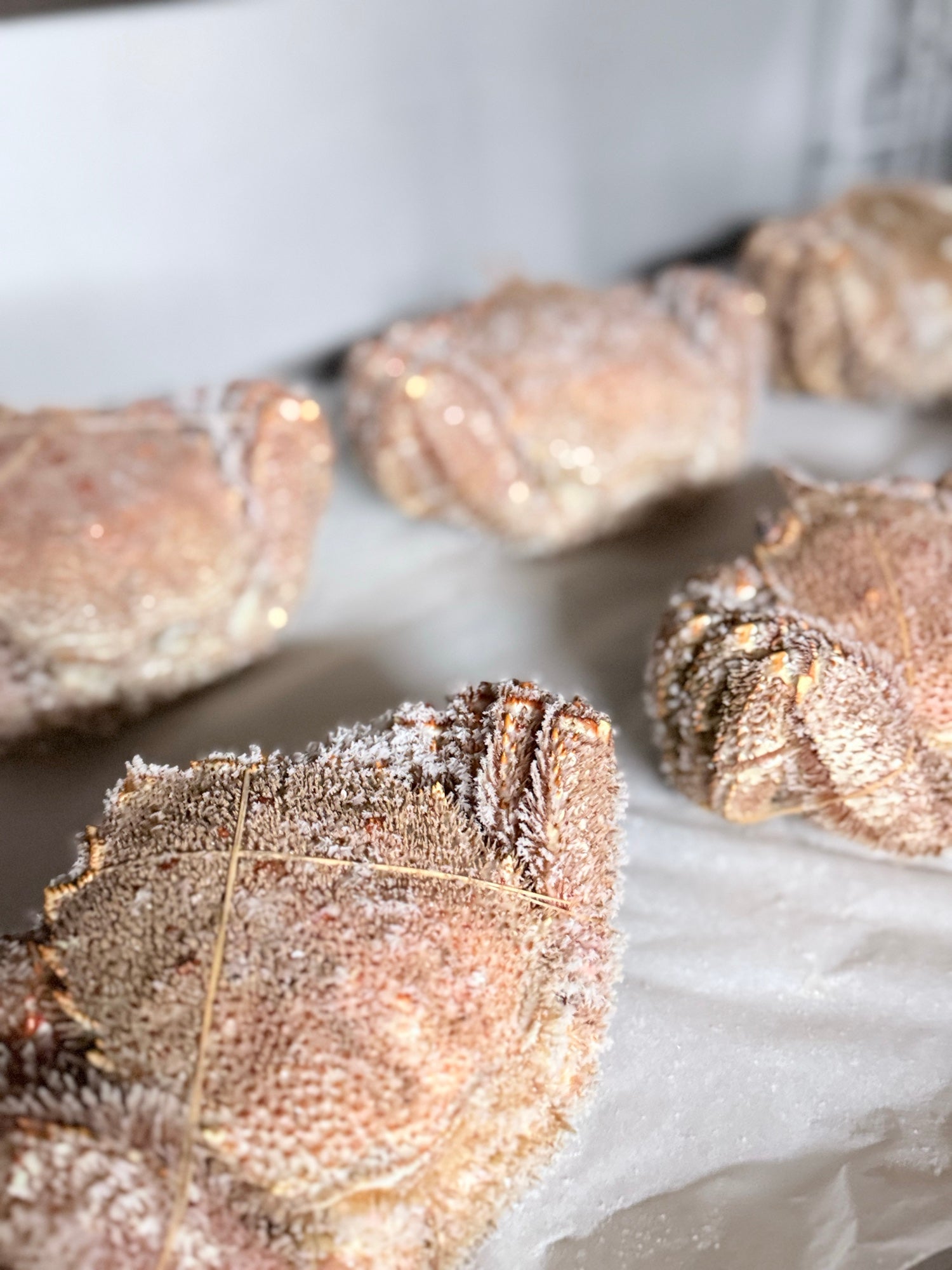 オホーツク常呂産 しばれ毛蟹