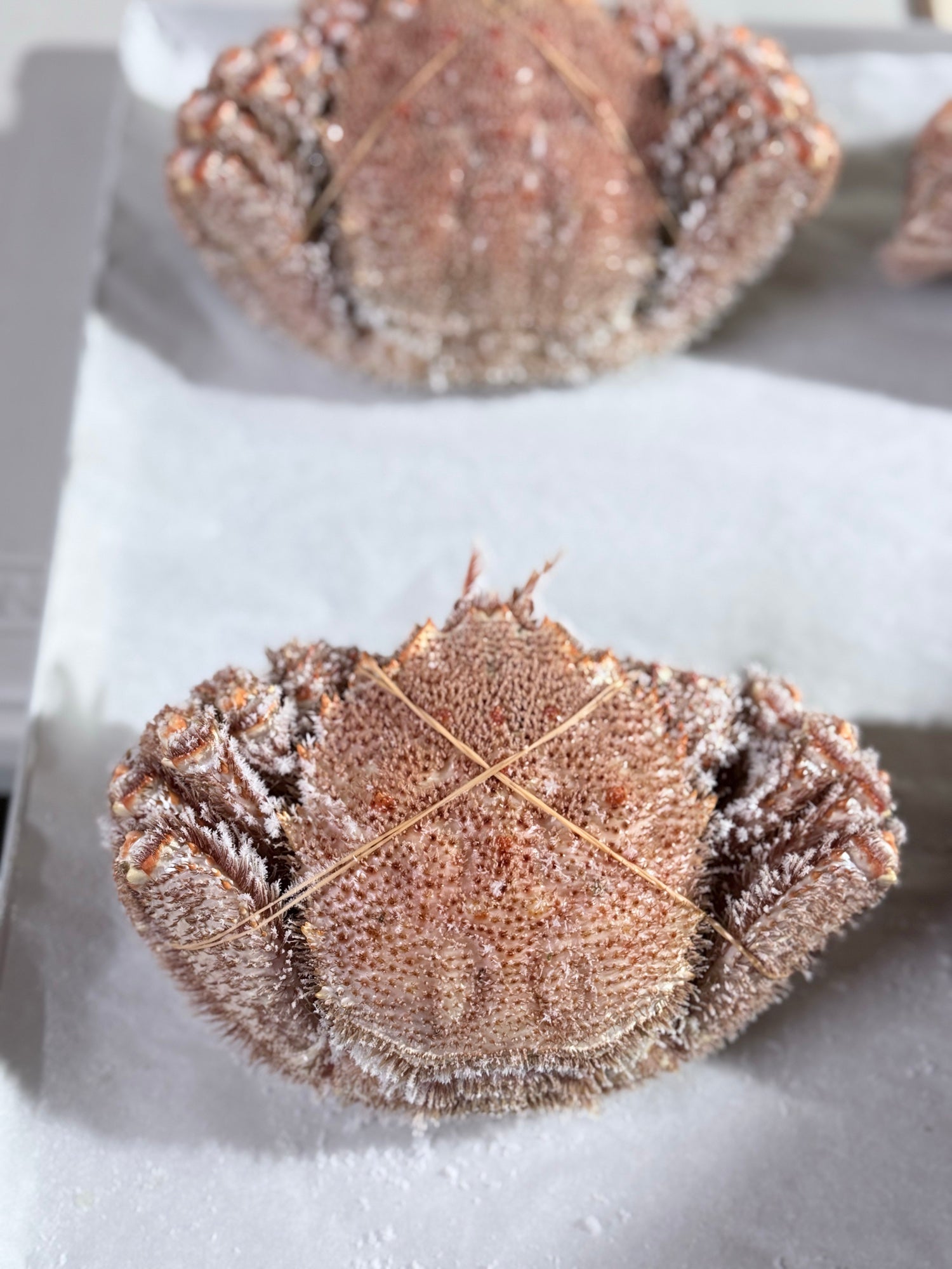 オホーツク常呂産 しばれ毛蟹