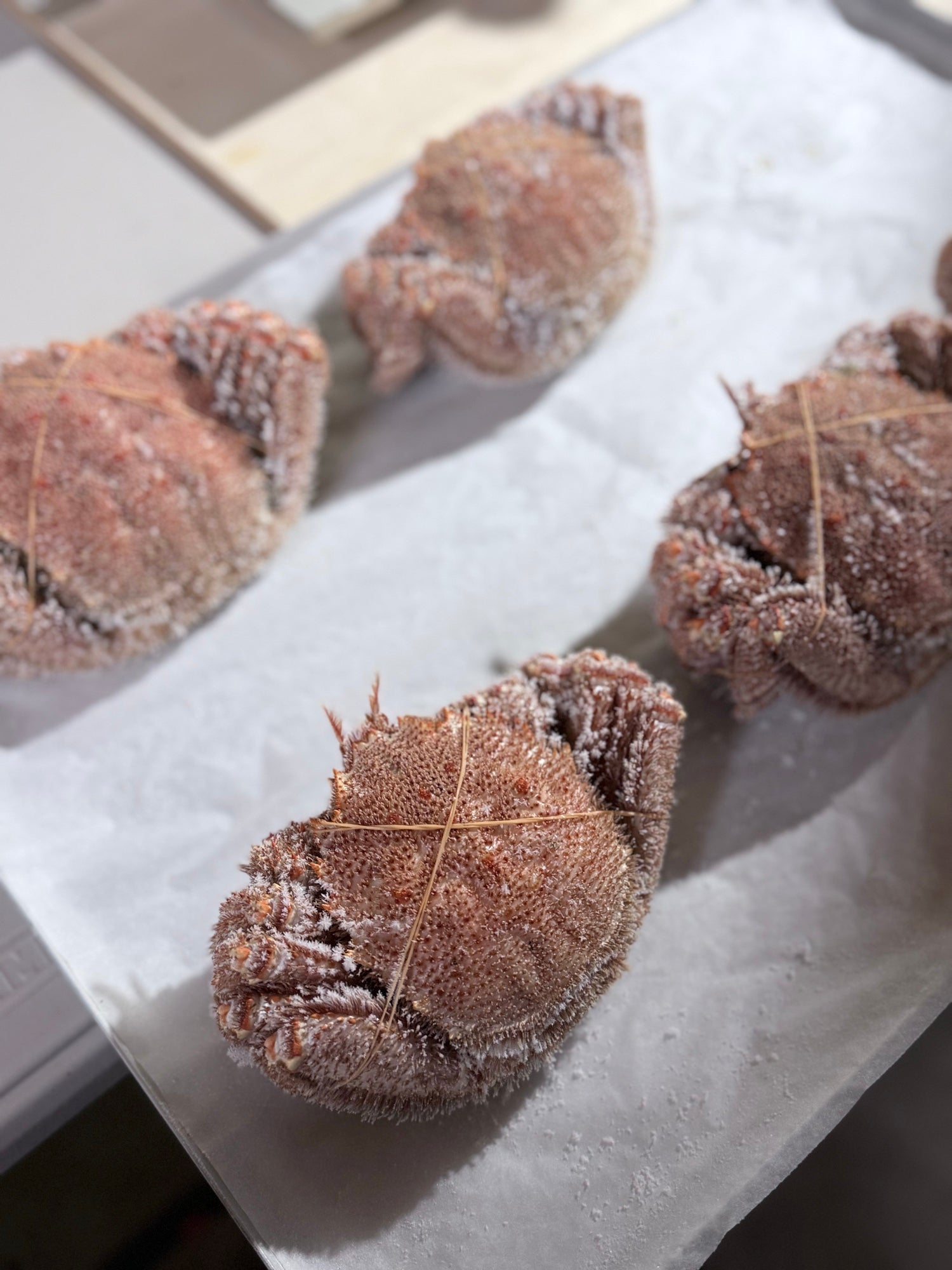 オホーツク常呂産 しばれ毛蟹