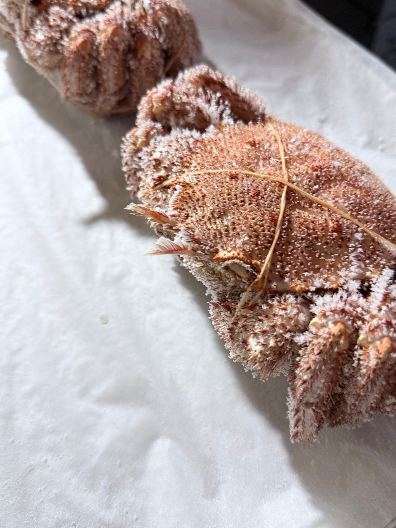 オホーツク常呂産 しばれ毛蟹