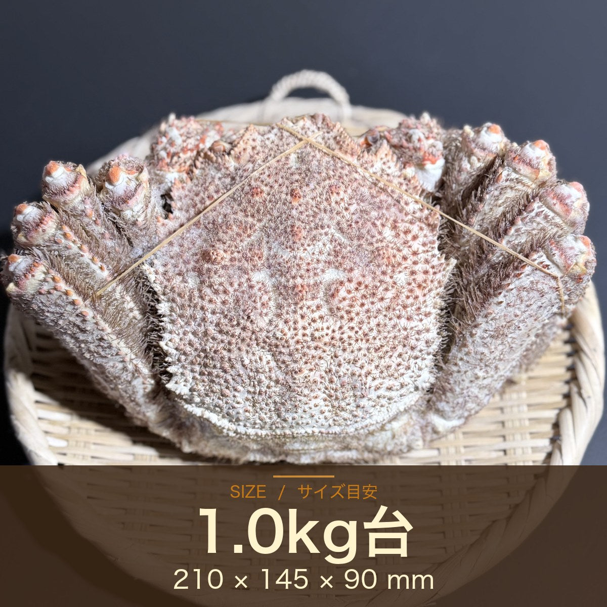 オホーツク常呂産 しばれ毛蟹