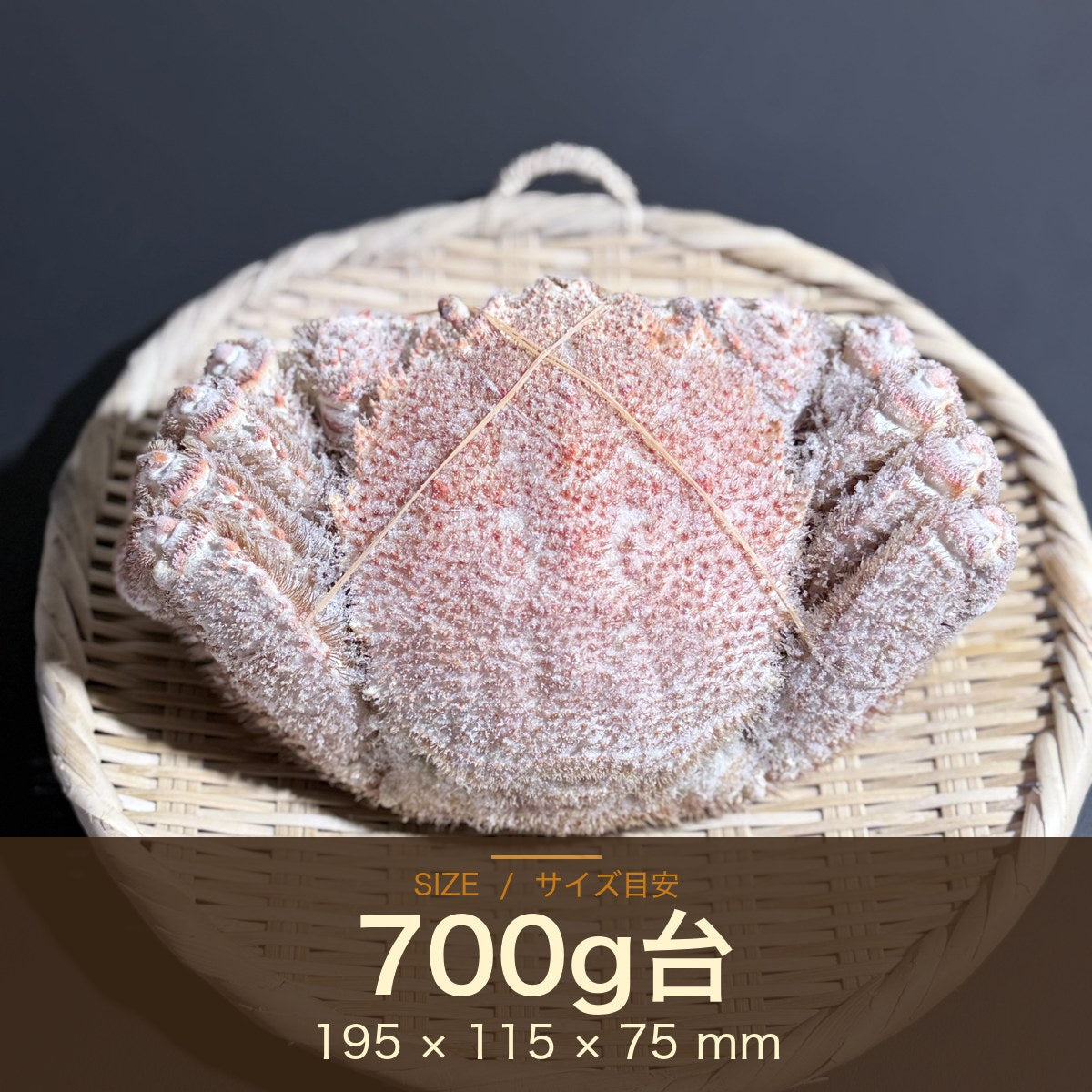 しばれ帆立 化粧箱 + しばれ毛蟹