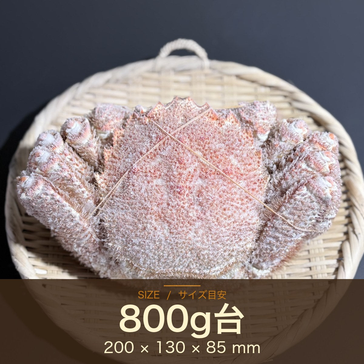 オホーツク常呂産 しばれ毛蟹