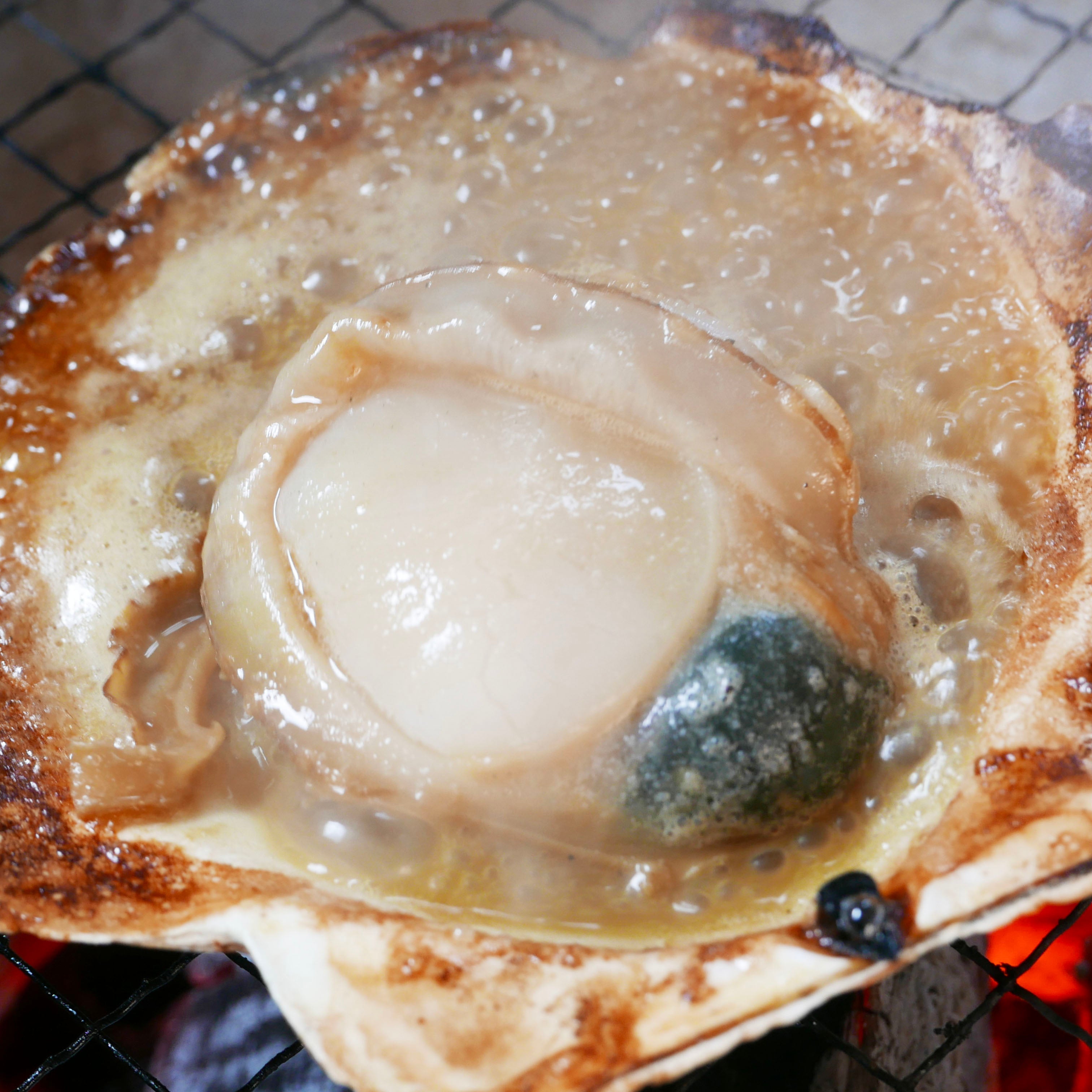 北海道漁師直送 殻付き極上プレミアムホタテ