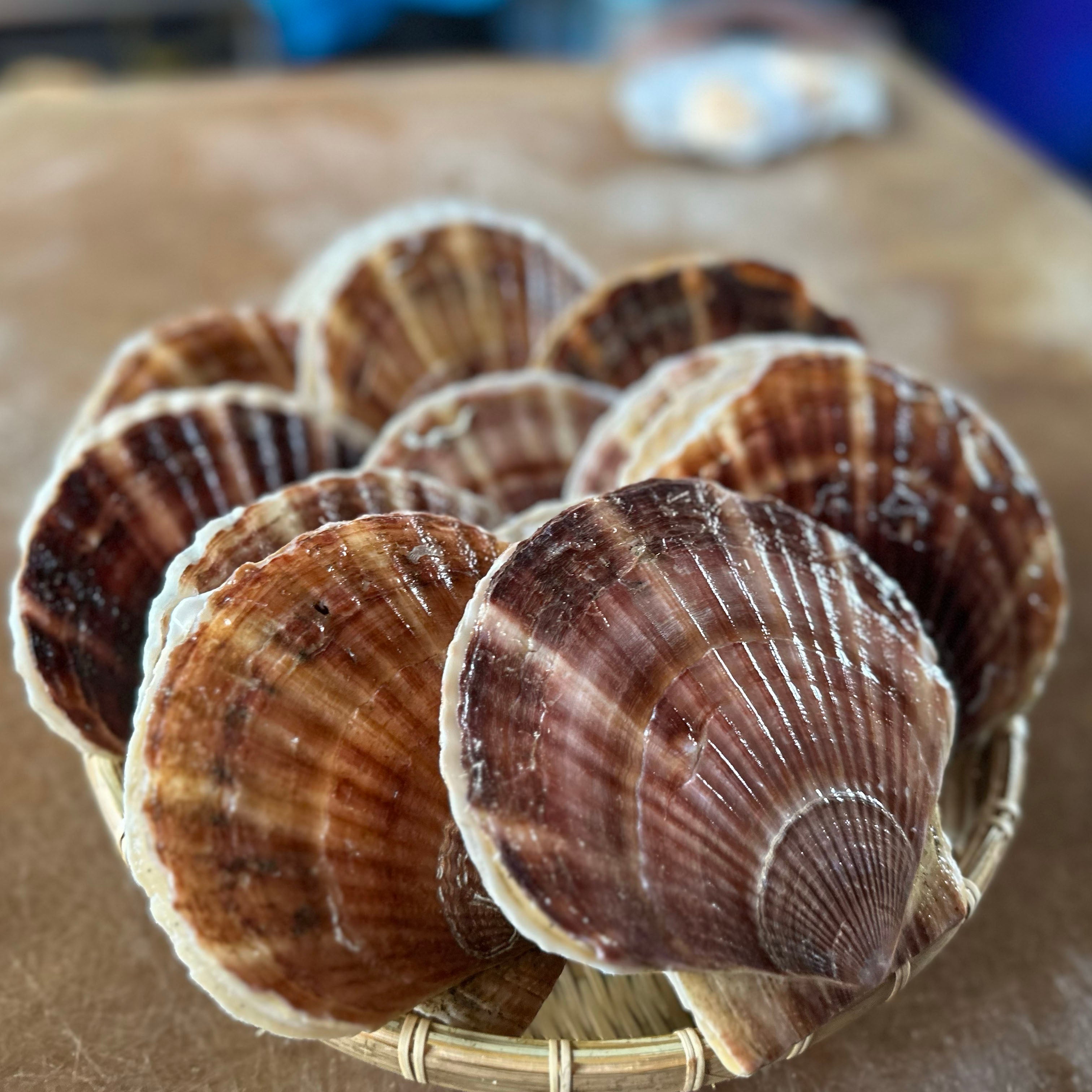 北海道漁師直送 殻付き極上プレミアムホタテ