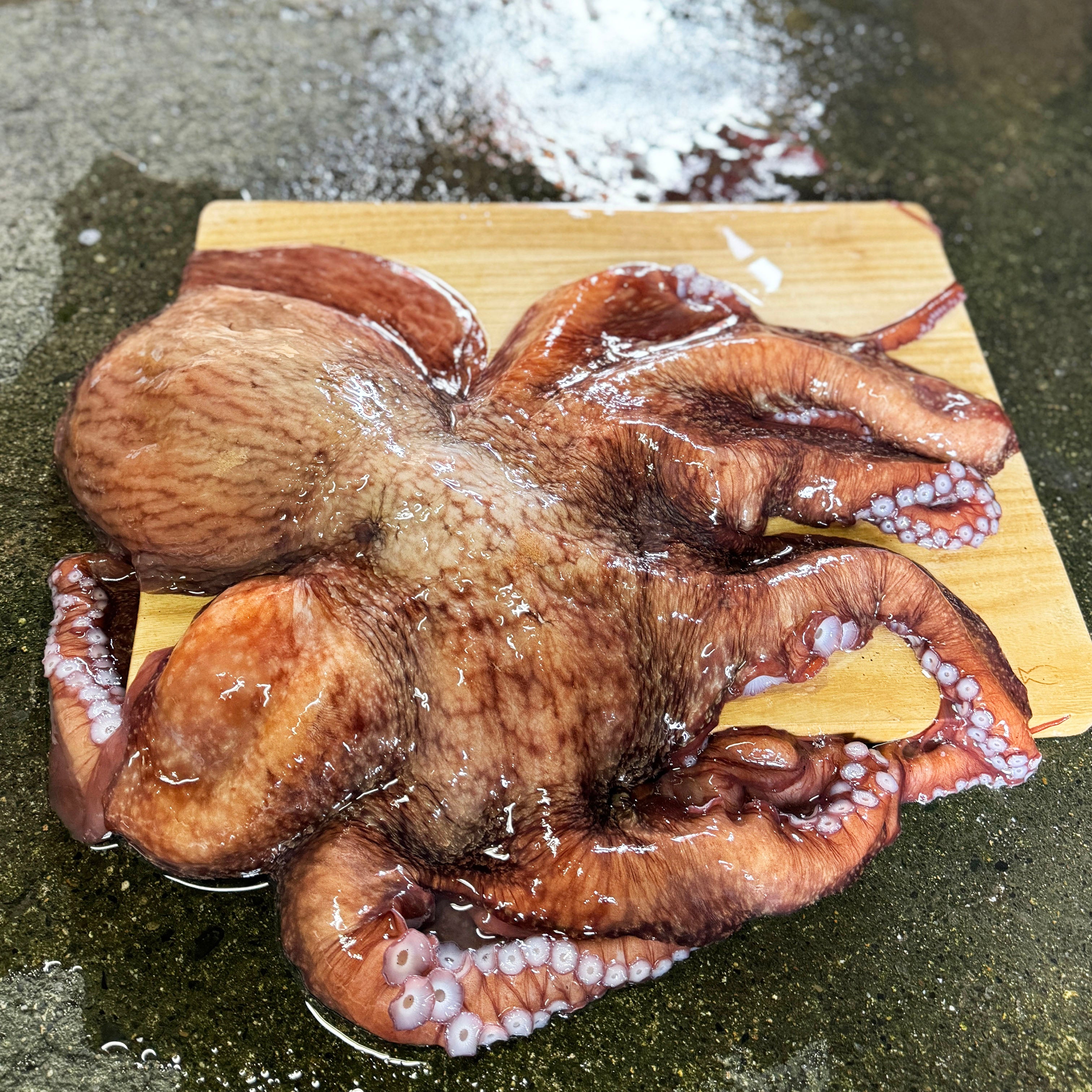 北海道漁師直送 朝採り朝茹でお刺身タコ【冷凍】