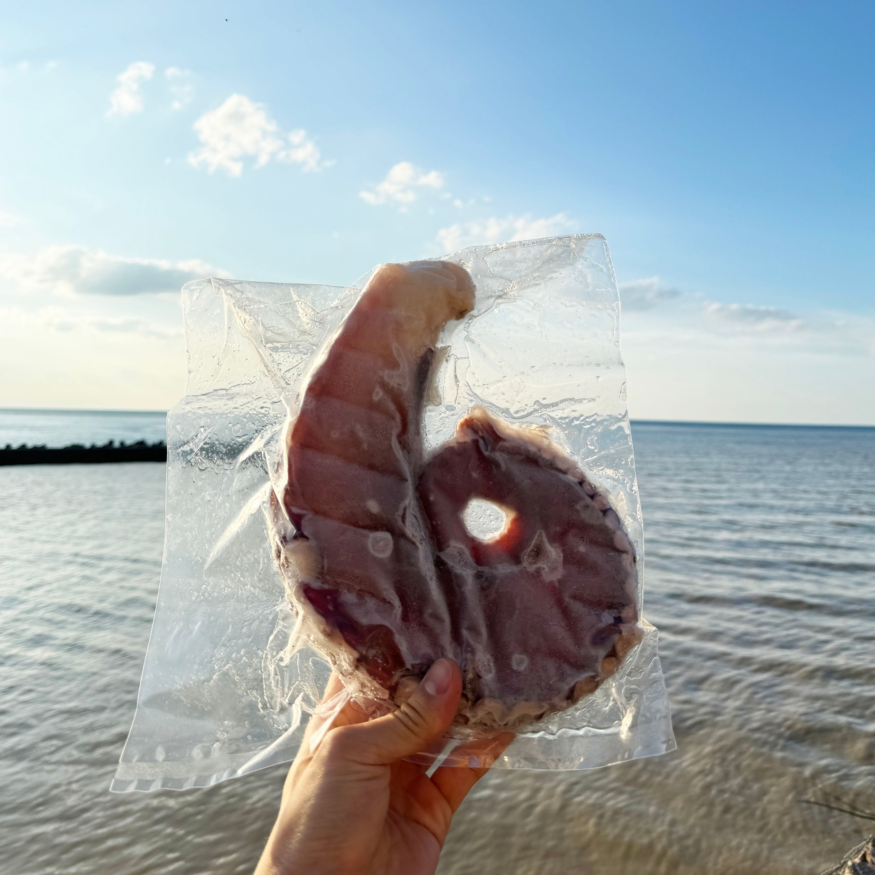 北海道漁師直送 朝採り朝茹でお刺身タコ【冷凍】