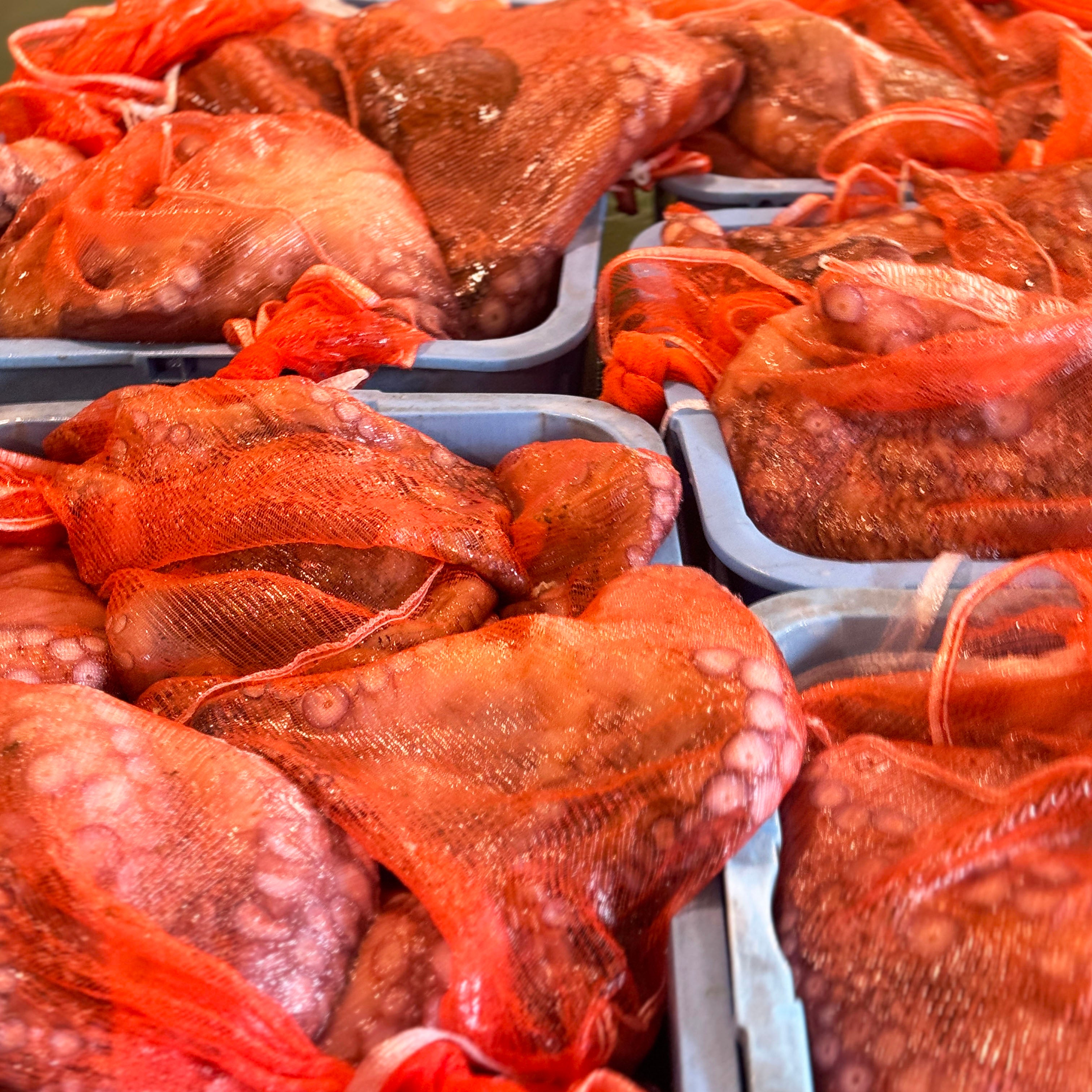 北海道漁師直送 朝採り朝茹でお刺身タコ【冷凍】