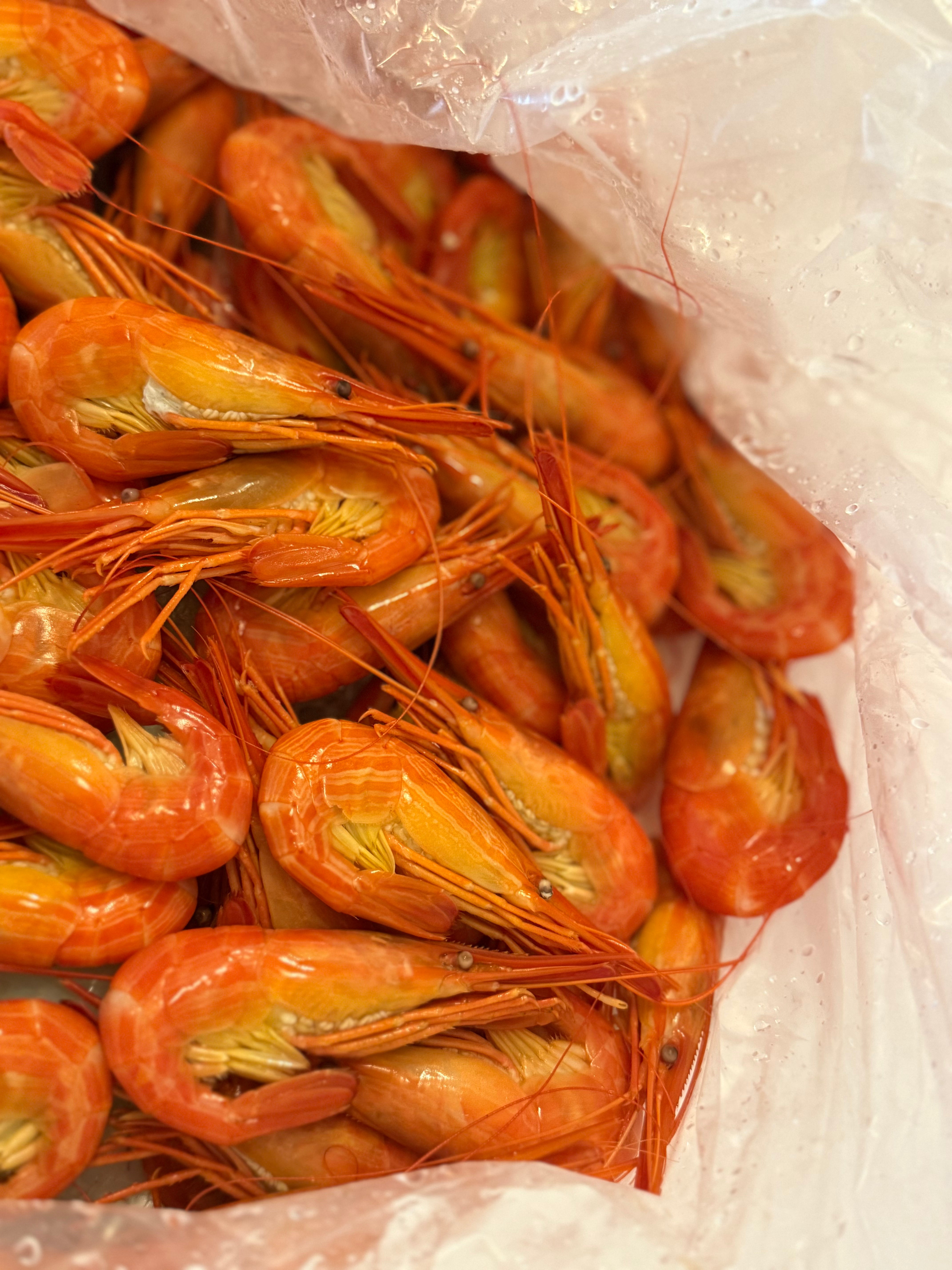 【予約注文のみ受付中_翌6月販売再開】北海道漁師直送　北海シマエビ（冷蔵）