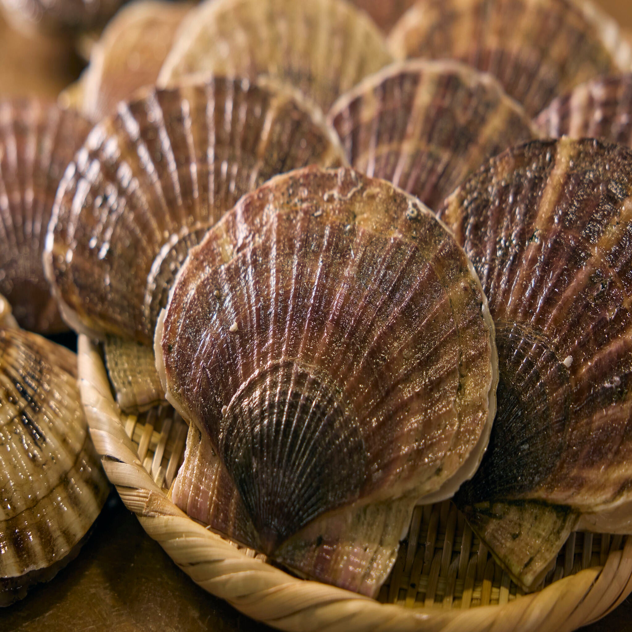 北海道漁師直送 殻付き極上プレミアムホタテ