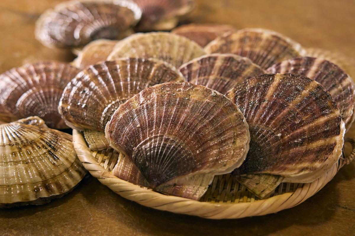 ザルに山盛りの殻付きホタテ