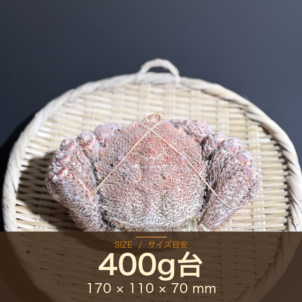 オホーツク常呂産 しばれ毛蟹