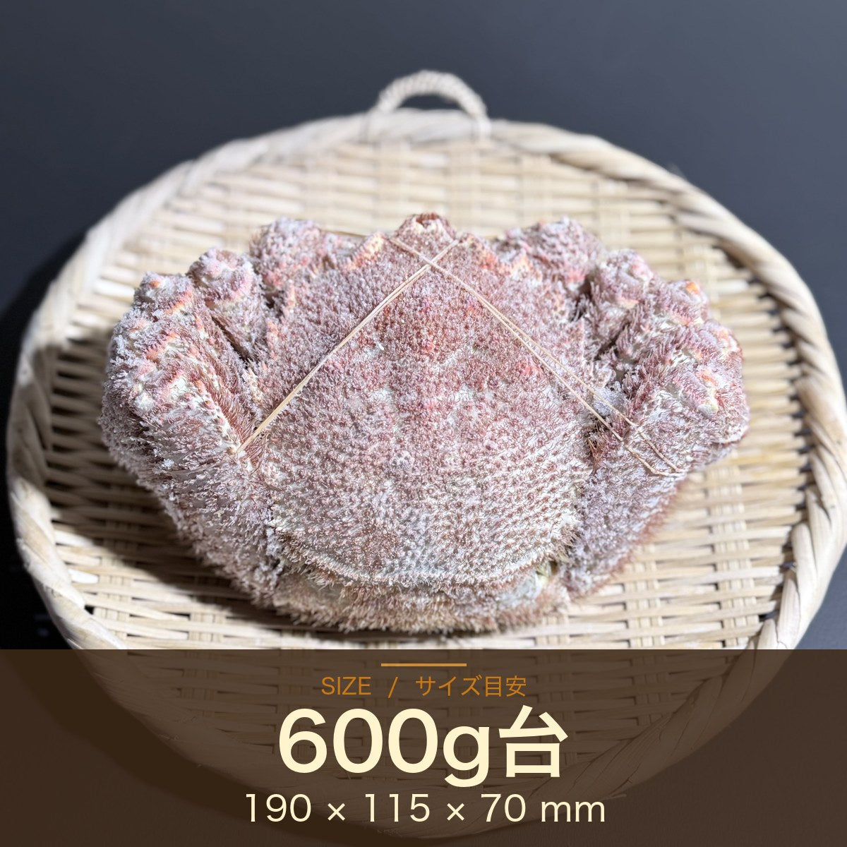 オホーツク常呂産 しばれ毛蟹
