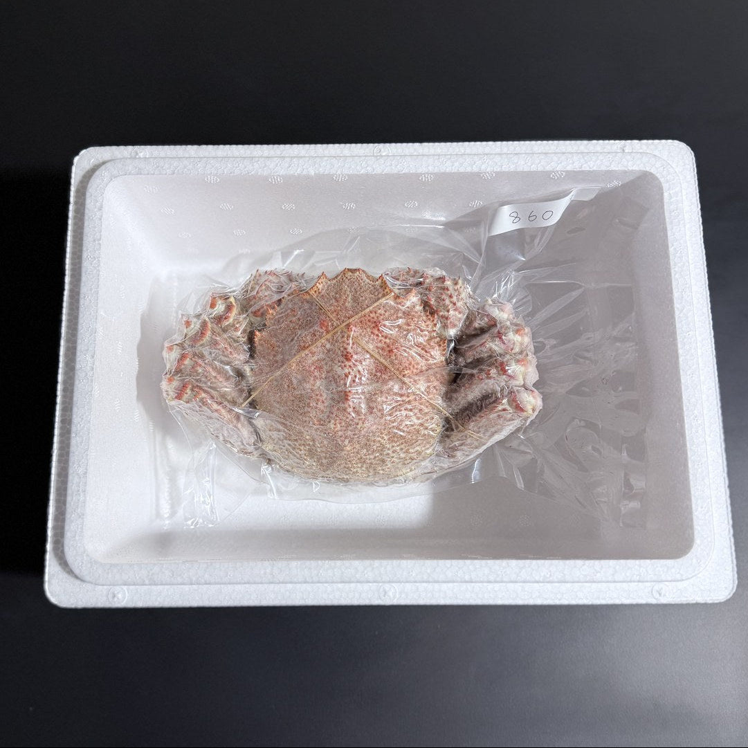 オホーツク常呂産 しばれ毛蟹