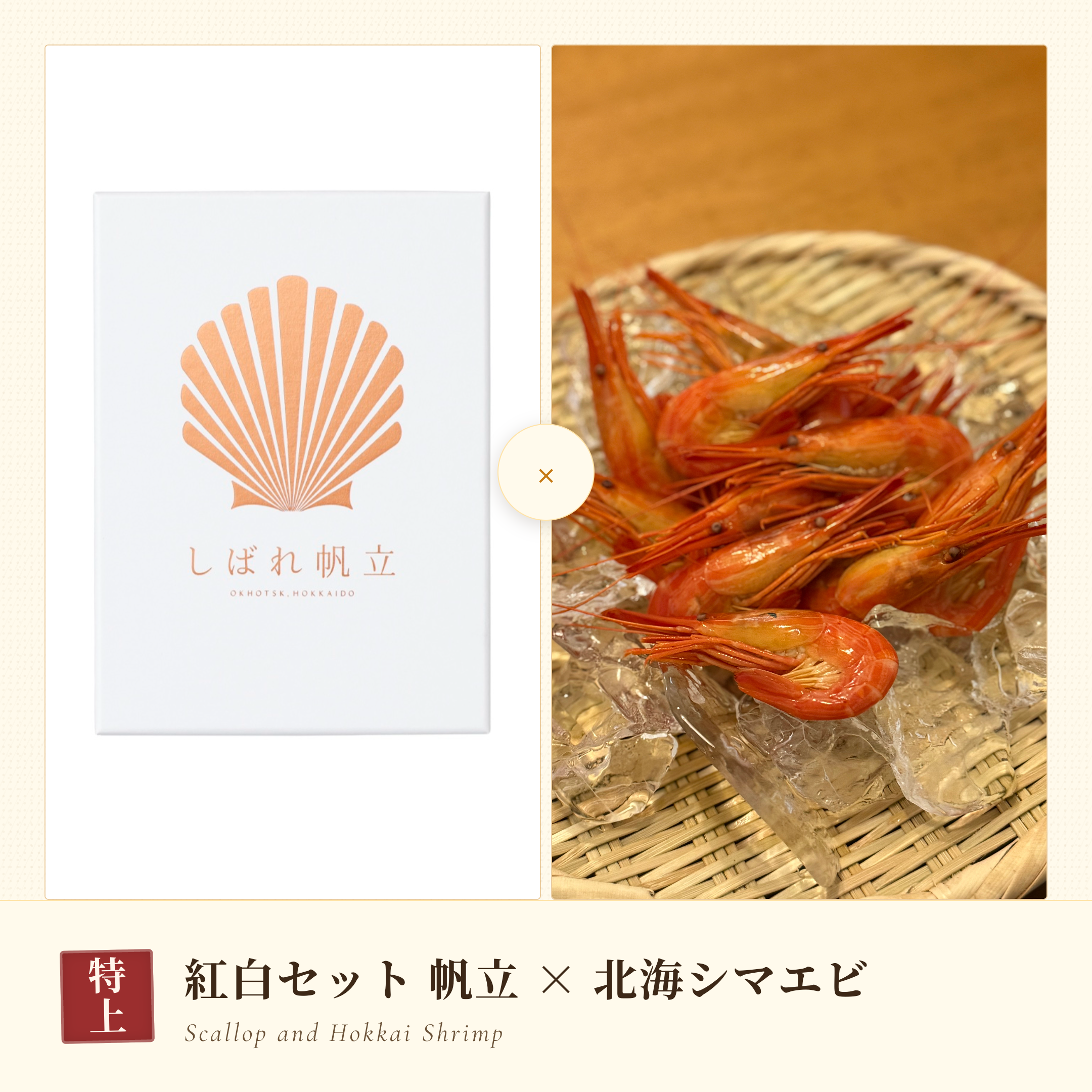 【お中元2026・特上】サロマ湖の夏 紅白セット しばれ帆立250g＋サロマ湖産 北海シマエビ225g〈税込・送料込〉